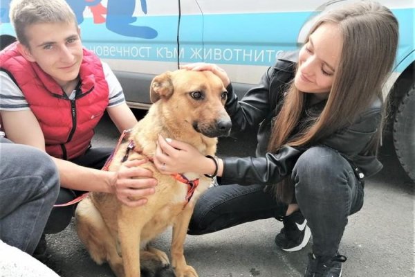 Кракен современный даркнет маркет плейс